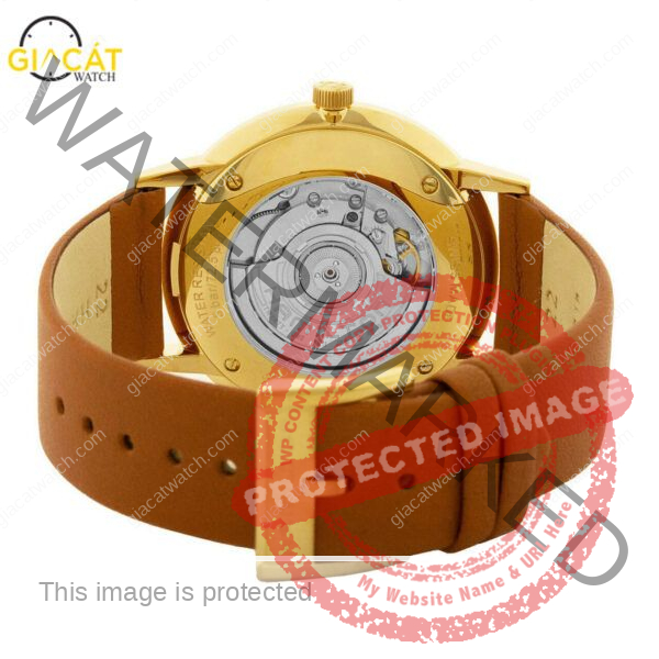 Đồng hồ Hamilton H38735501 bản bọc vàng 18k