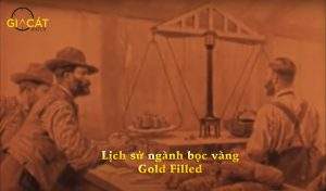 Lịch sử ngành bọc vàng