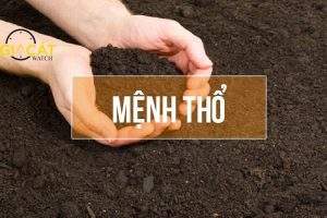 Mệnh Thổ đeo đồng hồ màu gì