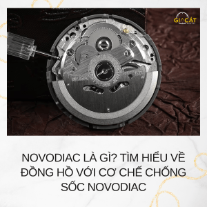 Novodiac Là Gì?