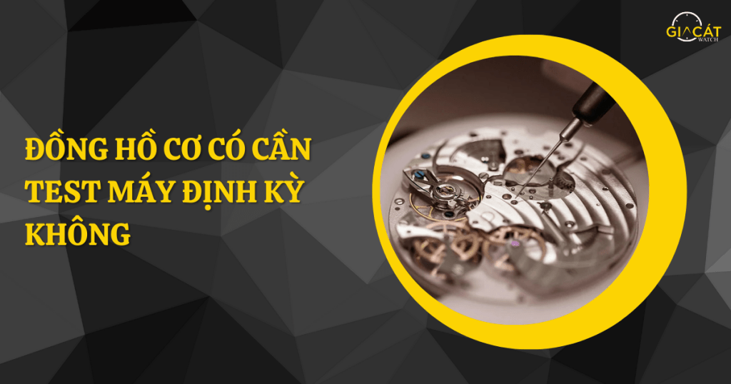 Đồng hồ cơ có cần test máy định kỳ không
