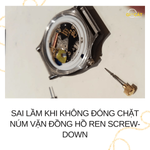 Núm vặn đồng hồ ren Screw-down