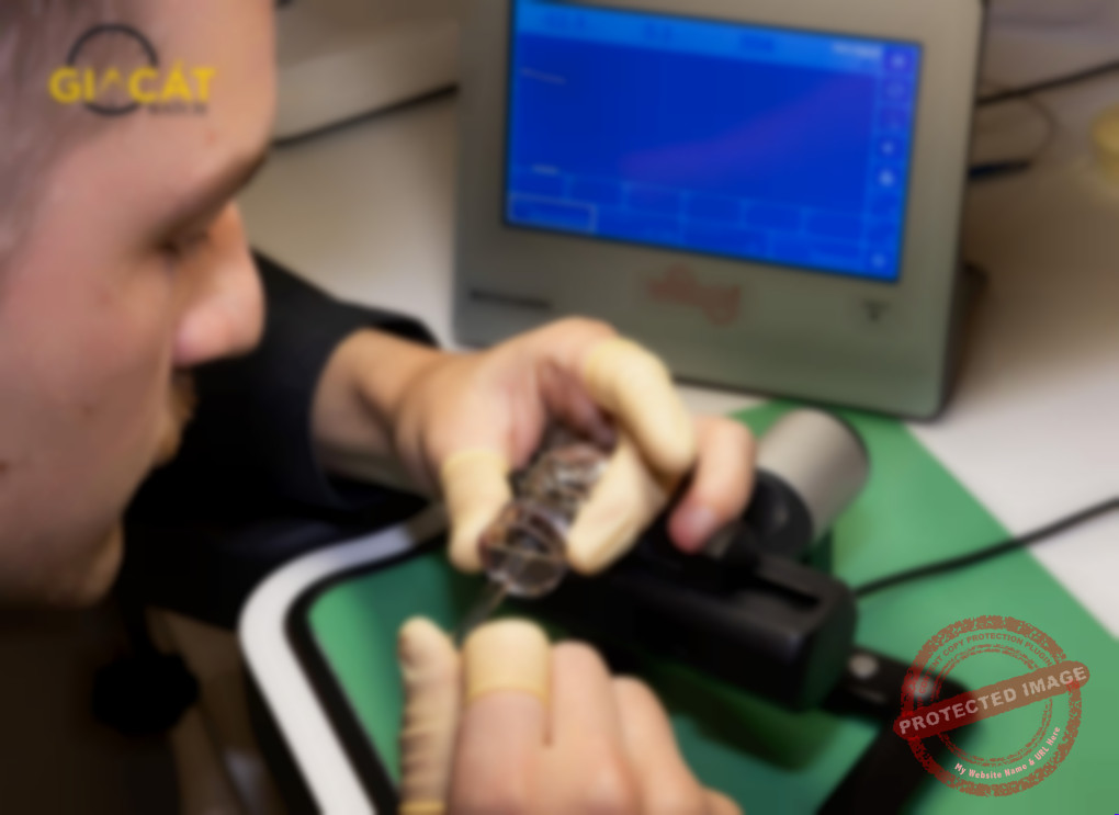 Kỹ thuật cân chỉnh độ chính xác bằng máy Timegrapher